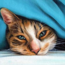 Схема вышивки «Котик»