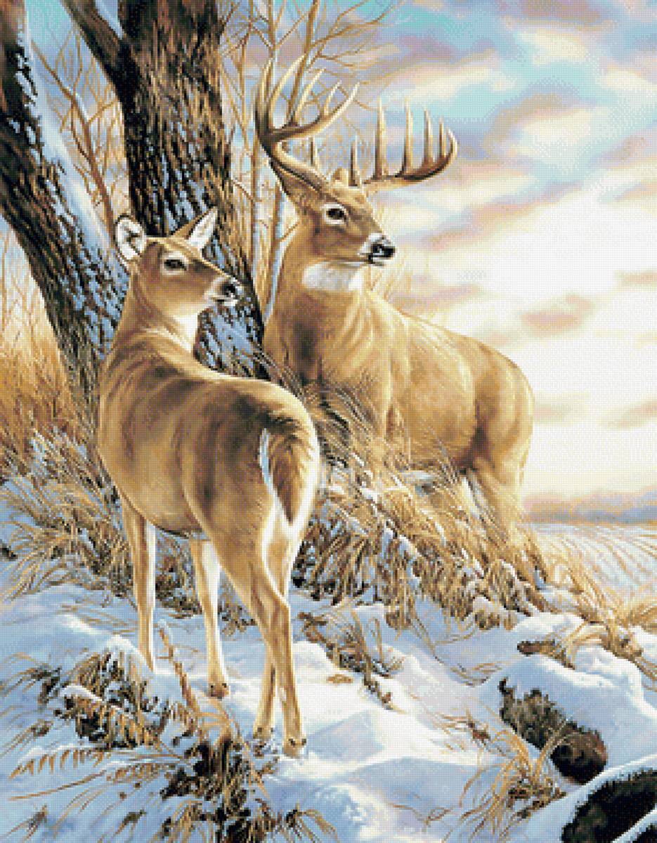 Серия "Олени". Зима - зима, пейзаж, олени, животные - предпросмотр