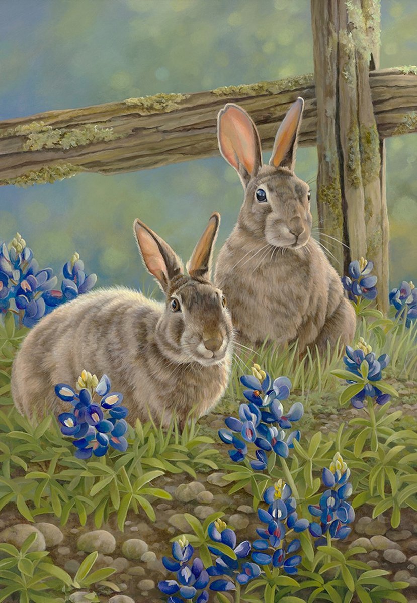 Кролики - животные, рисунок, цветы, кролики, кролик - оригинал