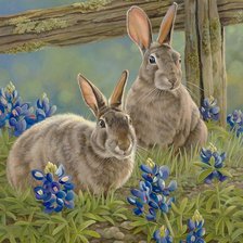 Схема вышивки «Кролики»