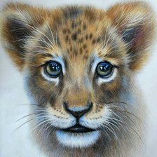 Схема вышивки «Тигренок»