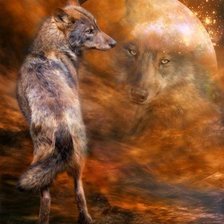 Схема вышивки «Волк»