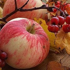 Схема вышивки «натюрморт»