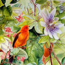 Схема вышивки «В зарослях»