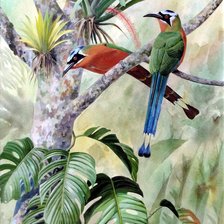 Схема вышивки «Райские птицы»