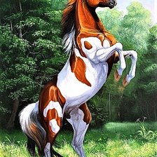 Схема вышивки «№1892154»