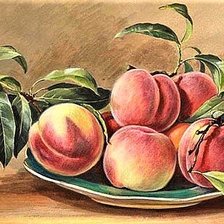 Схема вышивки «№1892157»