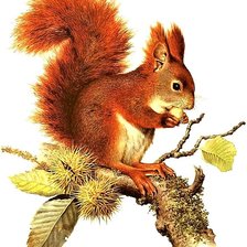 Схема вышивки «№1892167»