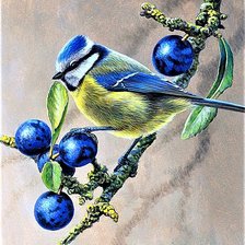 Схема вышивки «№1892168»