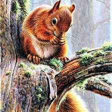 Схема вышивки «№1892178»