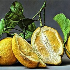 Схема вышивки «№1892180»