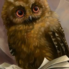 Схема вышивки «Сова»