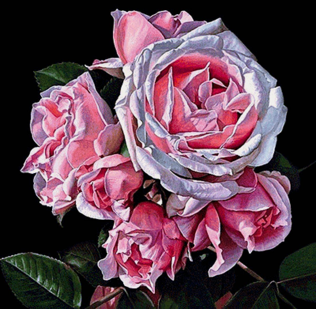 №1892219 - розы - предпросмотр