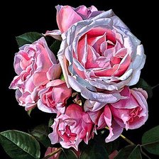 Схема вышивки «№1892219»