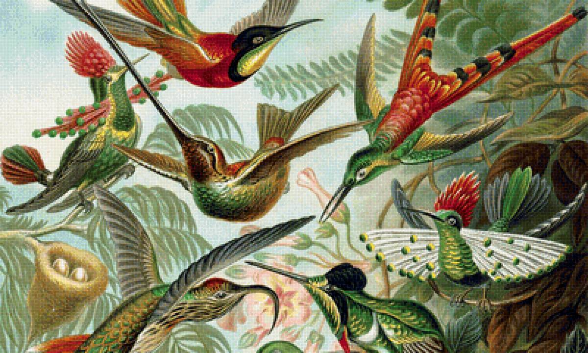 В райском саду - ветви, гнездо, птицы - предпросмотр