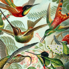 Схема вышивки «В райском саду»