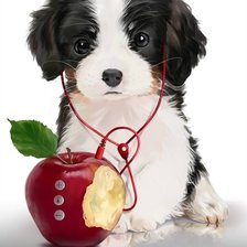 Схема вышивки «Щенок»