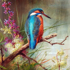 Схема вышивки «Птица в поле»