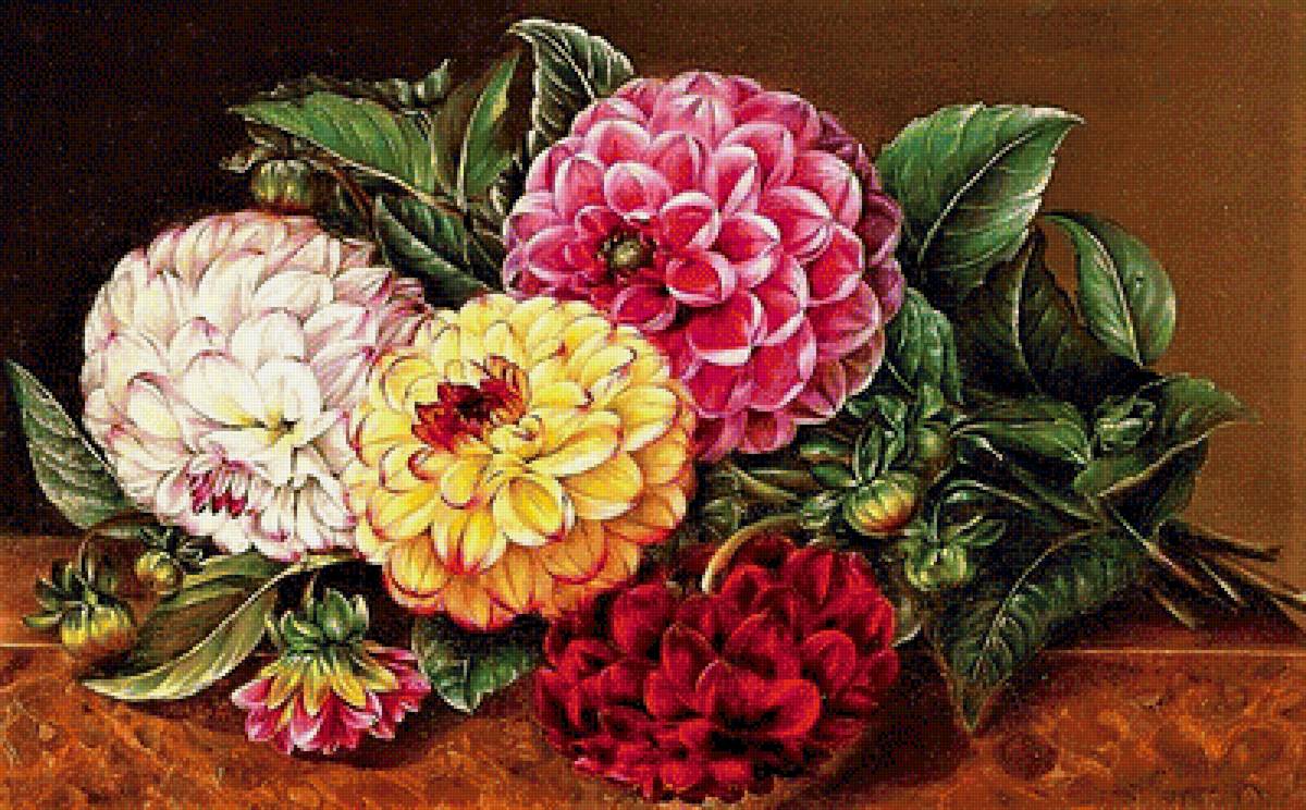 №1892865 - георгины - предпросмотр