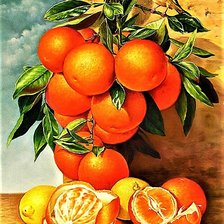 Схема вышивки «№1892874»