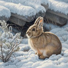 Схема вышивки «Кролик»