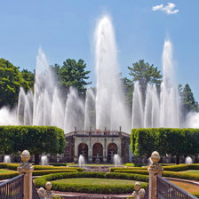 Схема вышивки «роскошный фонтан»