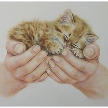 Схема вышивки «рисунок»