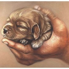 Схема вышивки «рисунок»