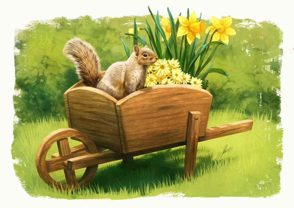 Белочка - цветы, лето, рисунок, белка, белочка - оригинал