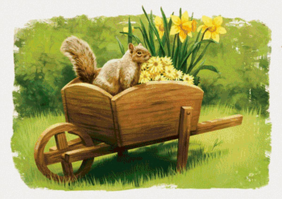 Белочка - белка, рисунок, лето, белочка, цветы - предпросмотр