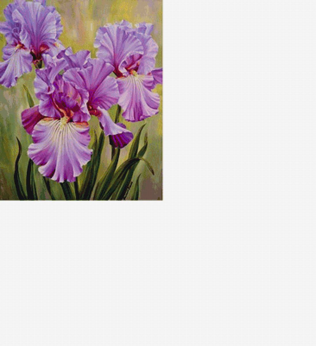 Сиреневые ирисы /размер 189 х 232 крест. хорошего качества/ - ирисы, цветы - предпросмотр