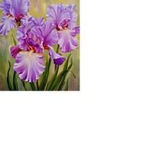 Схема вышивки «Сиреневые ирисы /размер 189 х 232 крест. хорошего качества/»