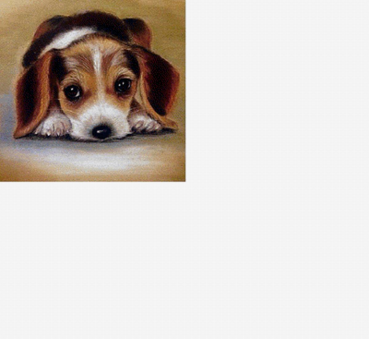 Грустный щенок /размер 200х197 крестиков/ - собака, щенок - предпросмотр