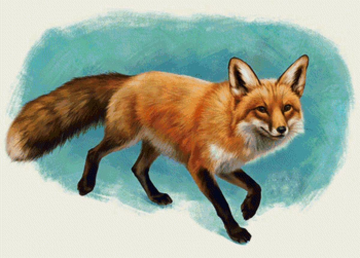 Лиса - животные, лисичка, лиса, рисунок - предпросмотр