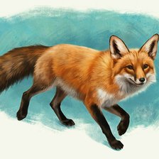 Схема вышивки «Лиса»