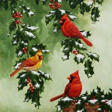 Схема вышивки «Птички»