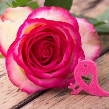 Схема вышивки «Роза»