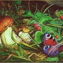 Схема вышивки «ГРИБ И БАБОЧКА»