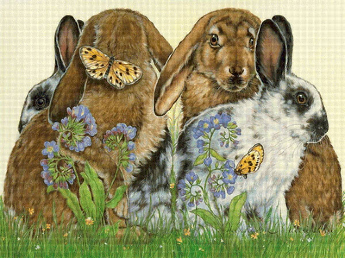 КРОЛИКИ - предпросмотр