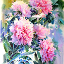 Схема вышивки «пионы»