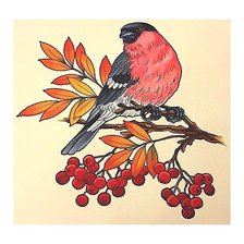 Схема вышивки «птица»