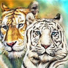 Схема вышивки «№1893592»