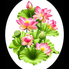 Схема вышивки «Серия "Лотосы"»