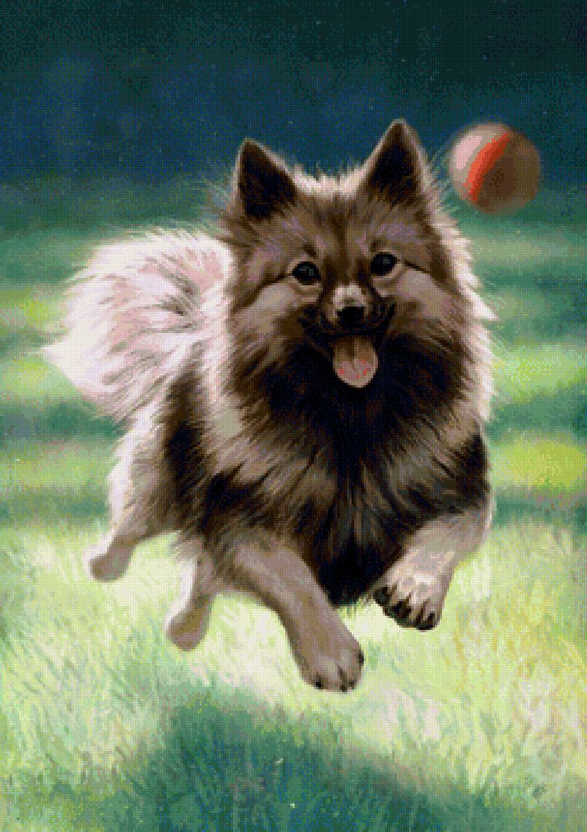 Собачка - собачка, собака, рисунок, животные - предпросмотр