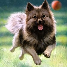 Схема вышивки «Собачка»