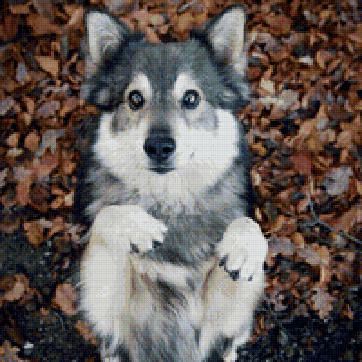 Собачка - предпросмотр