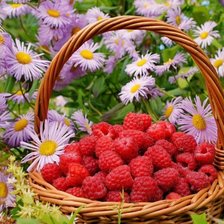 Схема вышивки «МАЛИНА»