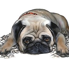 Схема вышивки «№1893790»