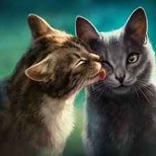 Схема вышивки «Котики»