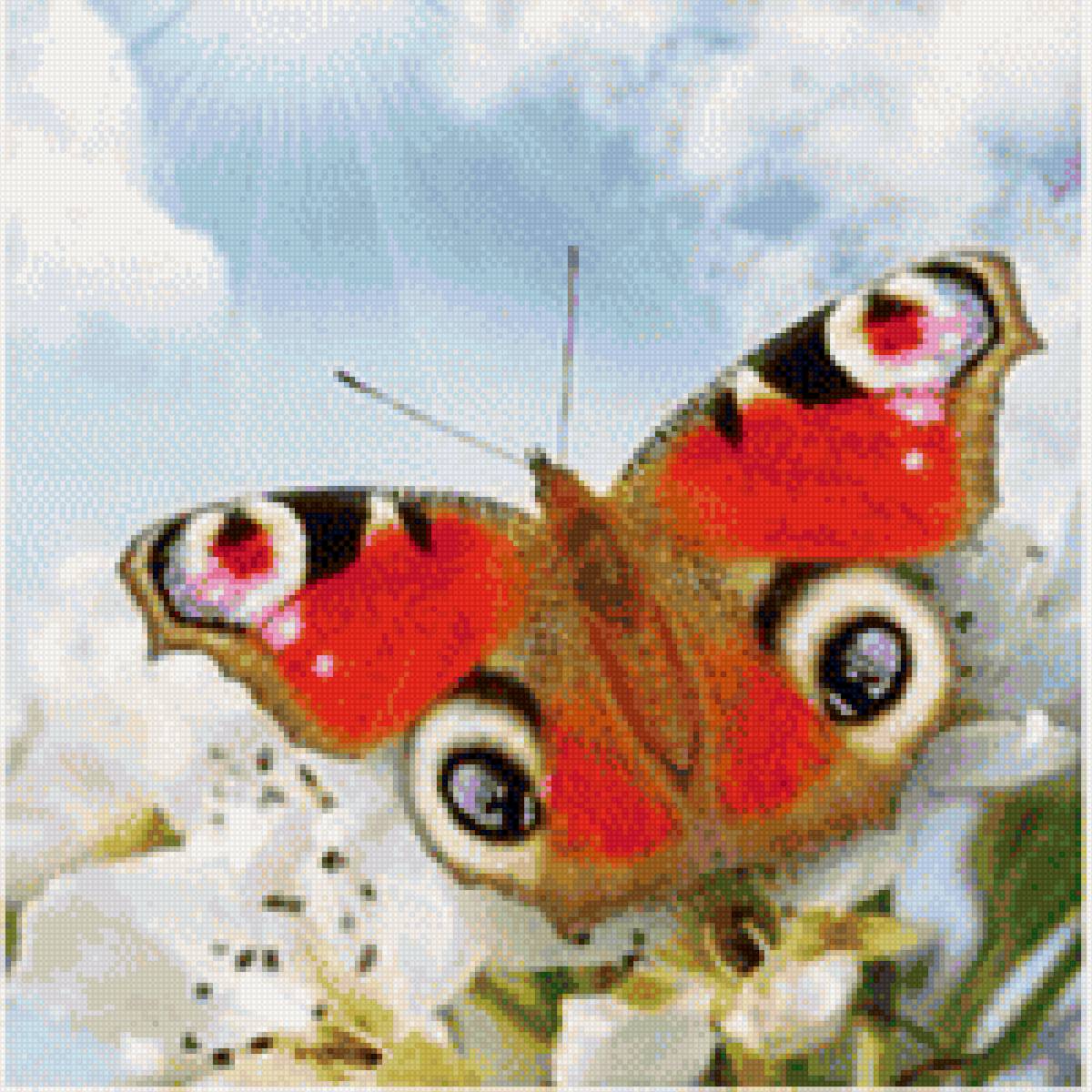 глаз - предпросмотр